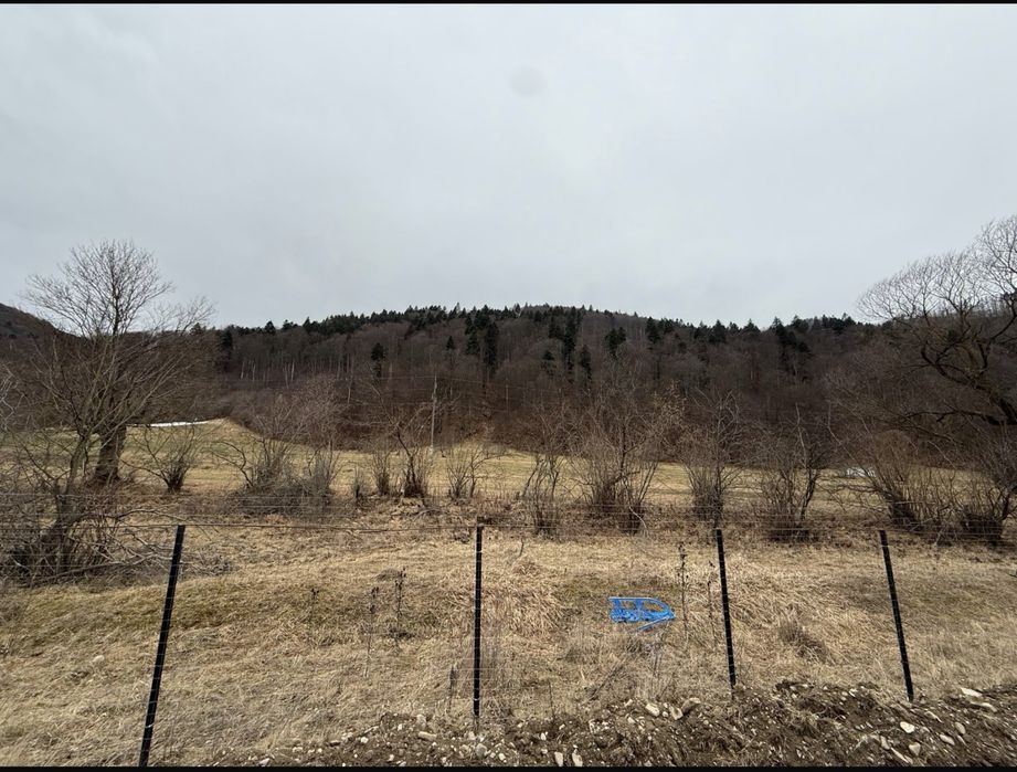 Teren 7300mp Valea Zizinului tarlungeni