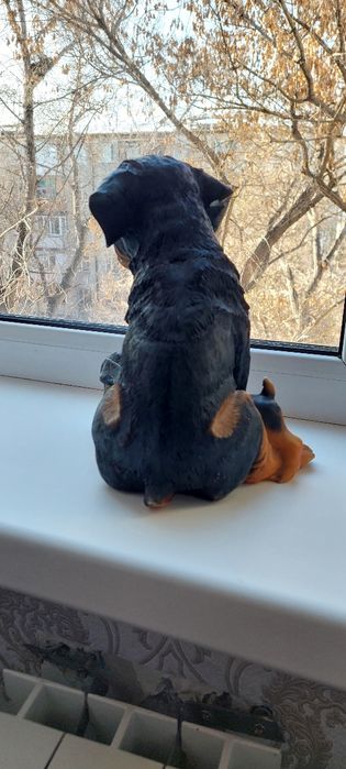 Собаки сувениры..