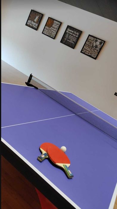 Настольный теннис Теннисный стол водостойкий