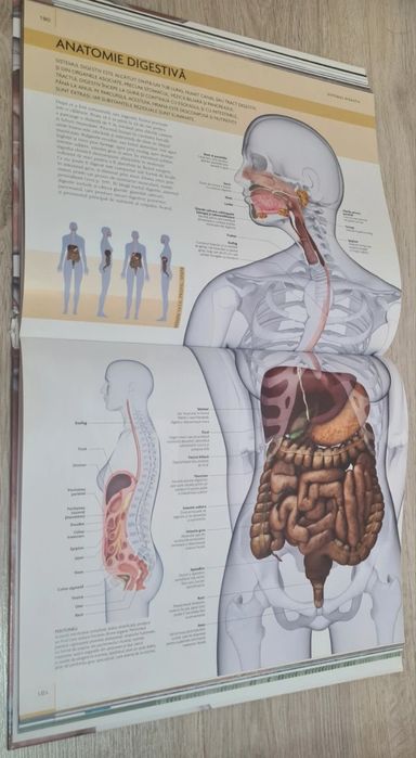 Corpul uman - Manual complet