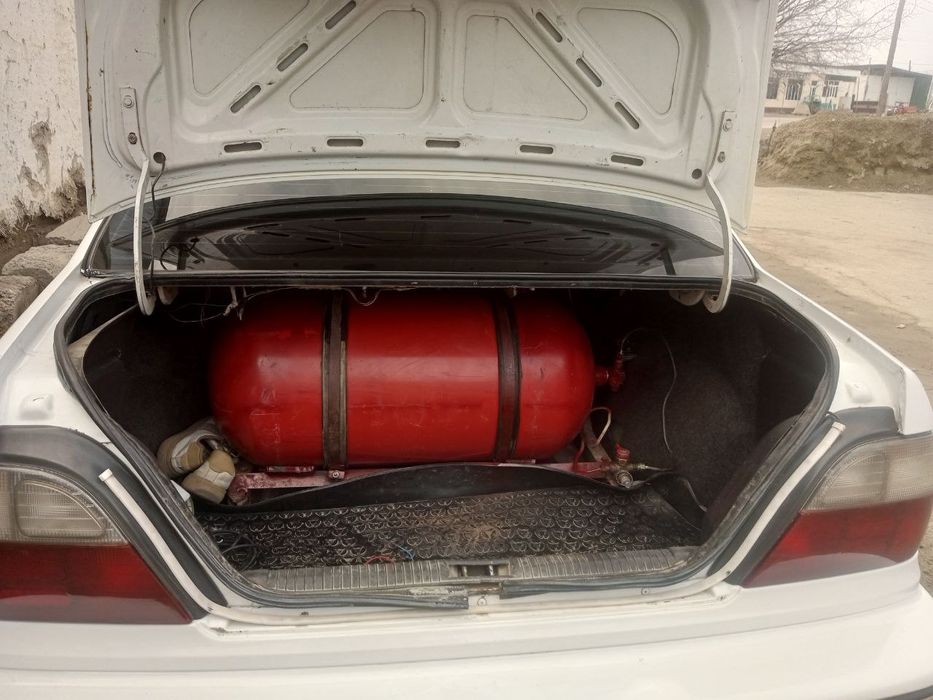 Nexia sons trambulor