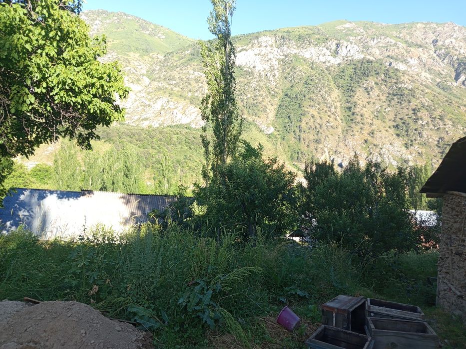 Участка сотилады