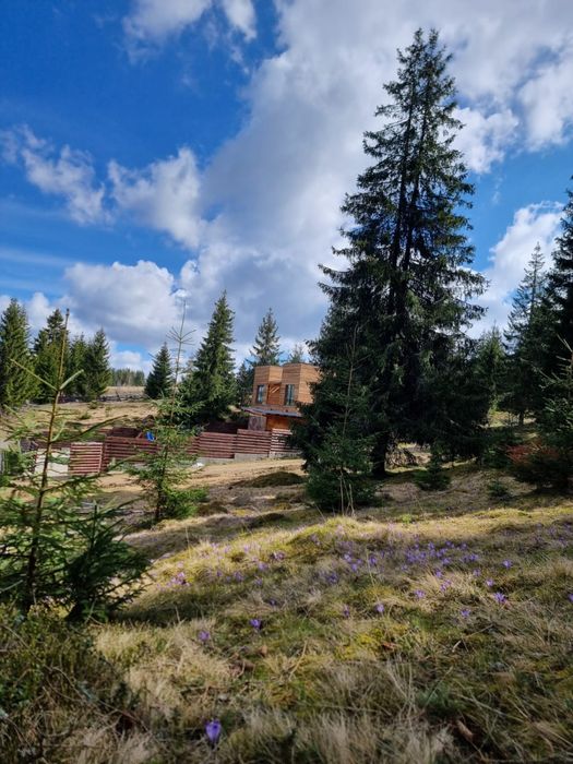 Cabana de inchiriat cu jacuzzi, Marisel, Cluj (100 m partia de ski)