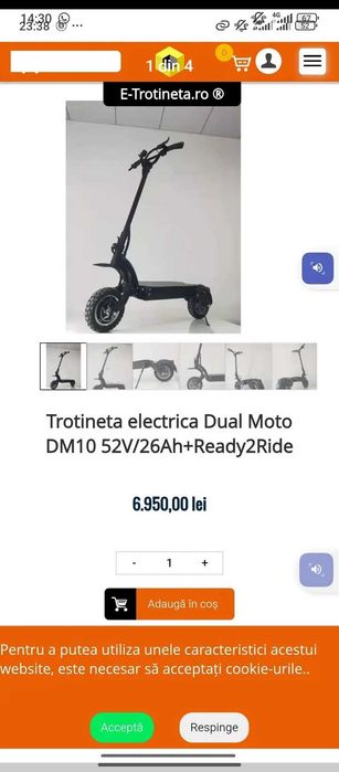 Trotinete electrică dm 10