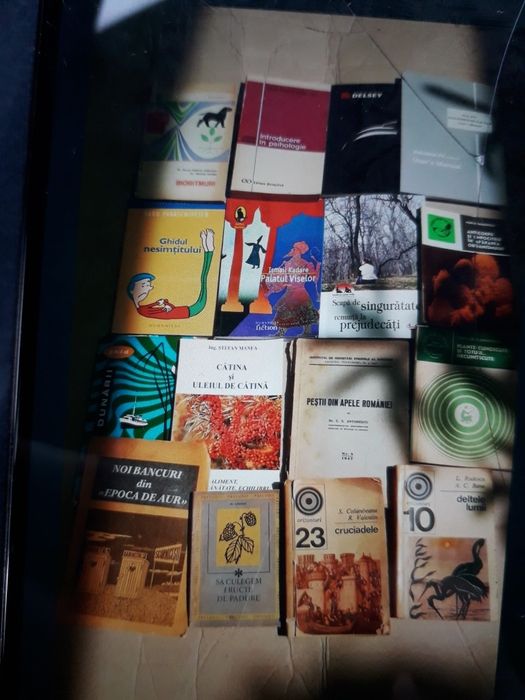 Diverse cărți, romane