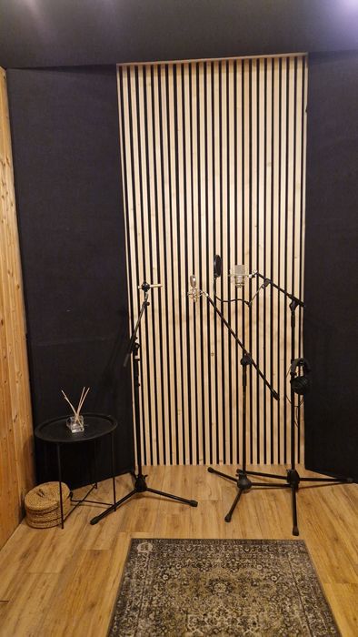 Sala repetitie/Studio inregistrari voce si instrumente/Mix Master/