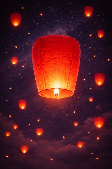 Успейте приобрести Фонус