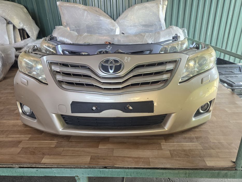 Мини морда ноускат