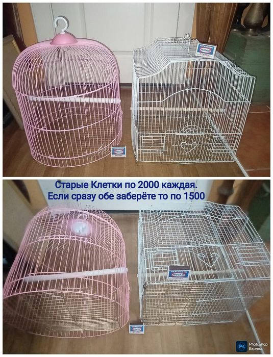 Клетки старые недорого