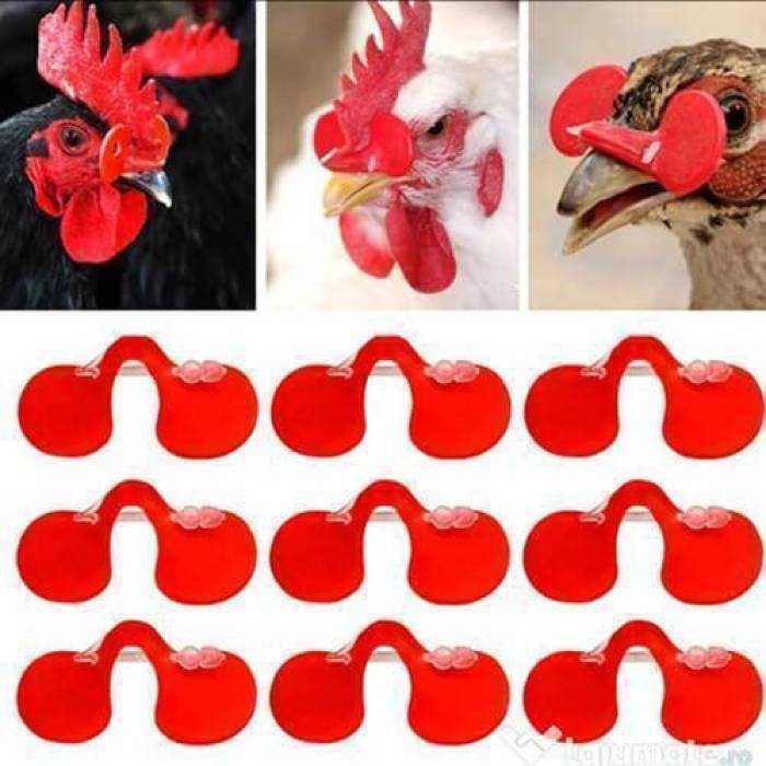 Set Ochelari pentru fazani şi păsări