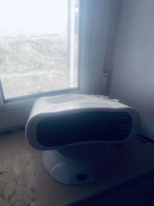 ARSHIA сатылады 5000тг