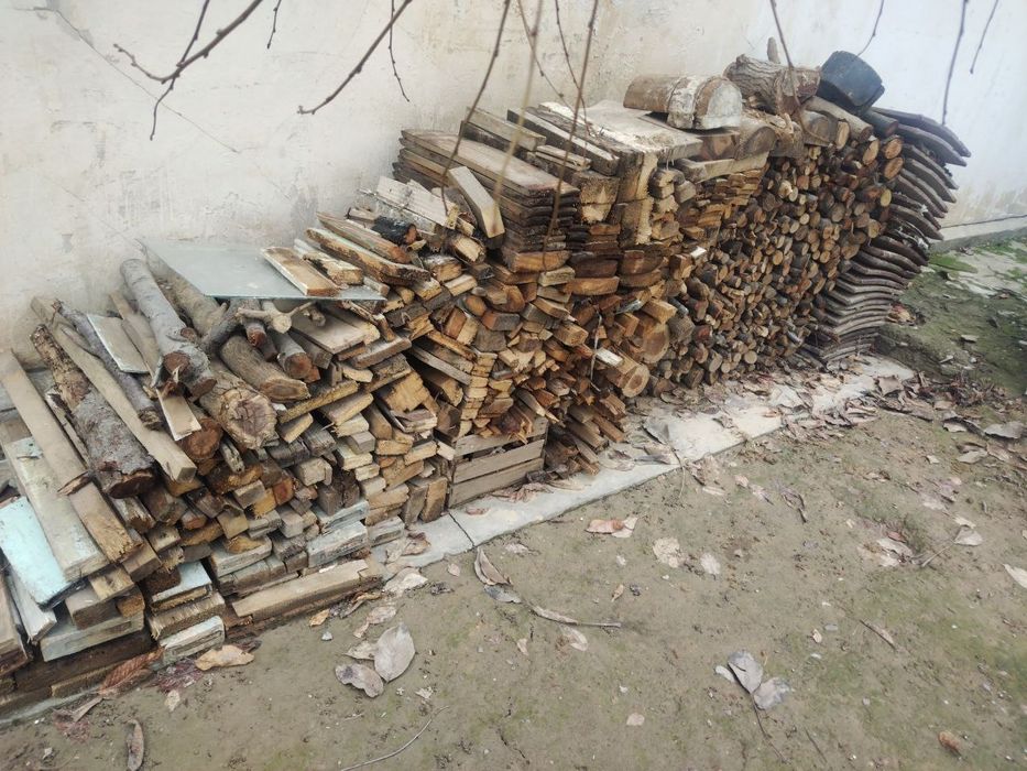 Otin quruq mevali darxt va taxtalar, утин