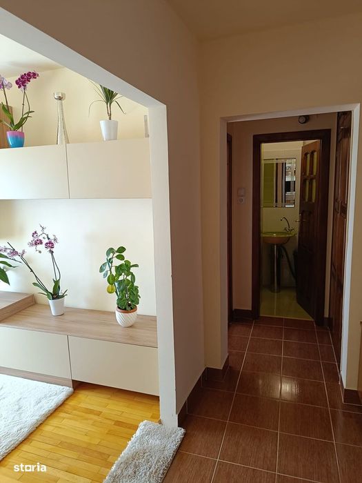 4 camere Micalaca, Voinicilor
