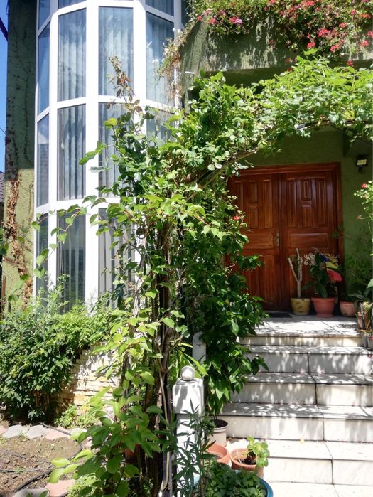 Proprietate deosebită, vila, zona Gradina Publică.