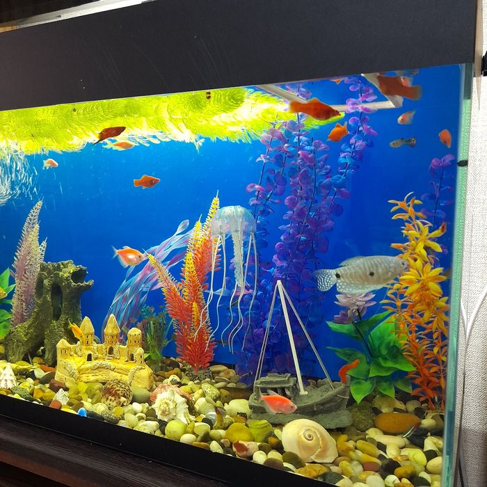 Аквариум 120 литров