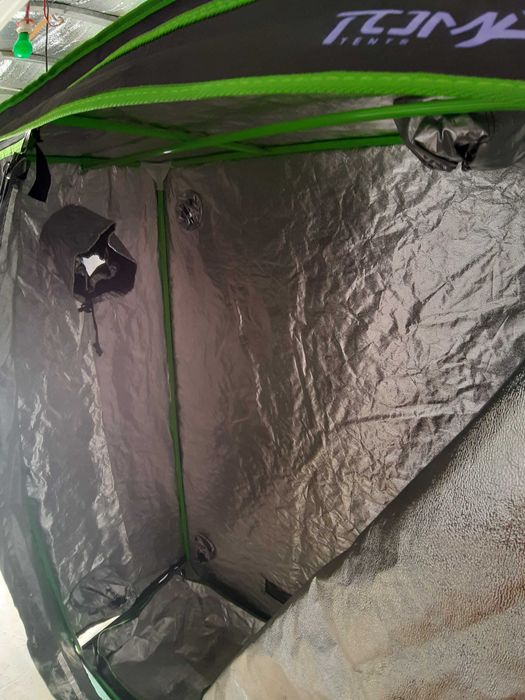 MARS HYDRO 240x120x200cm и TOMAX 60x120x180cm growbox grow tent