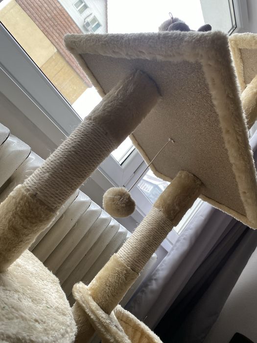 Casuta pentru pisici