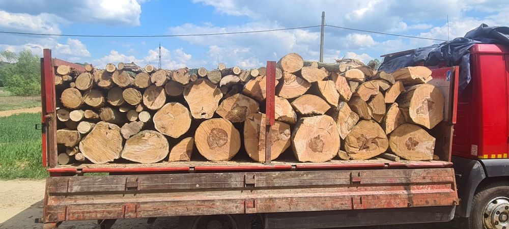 Deseuri fag .lemn foc .cărbune lignit