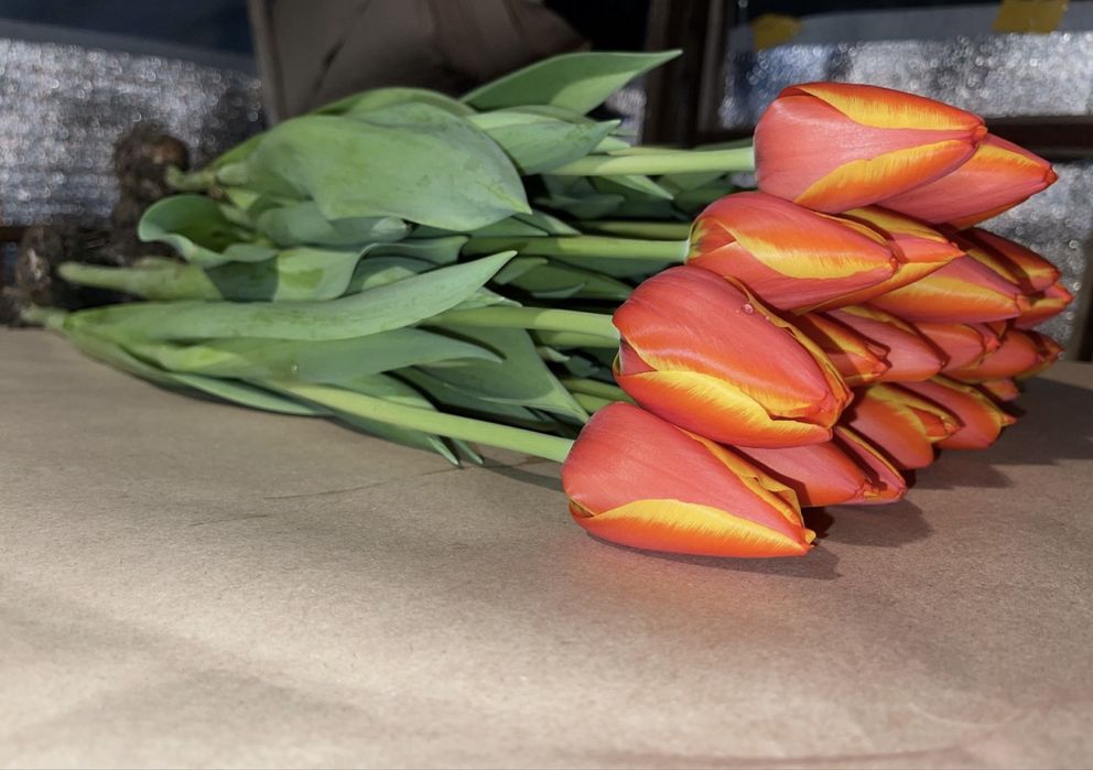 Корпоратив тюльпаны Алматы 600 тг