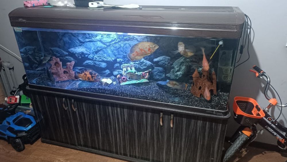 продам аквариум закваской Китай 480л