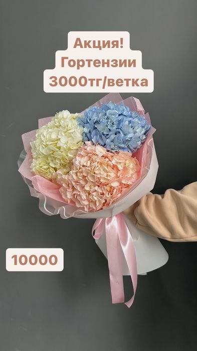 Пионы розы гортензии