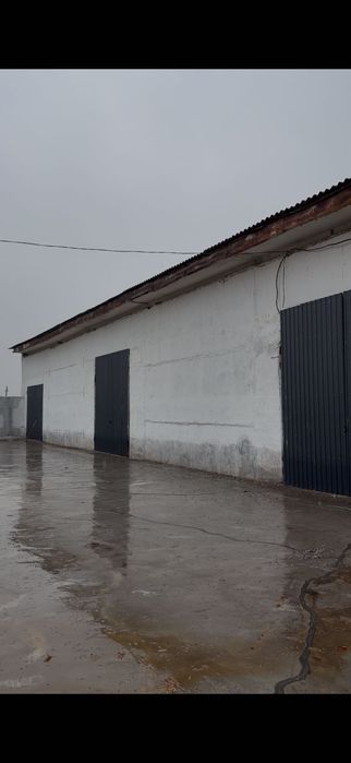 9 sotox yer arendaga beriladi