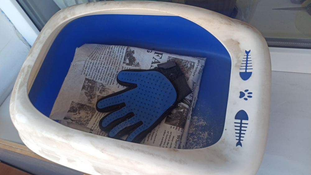 Лоток/туалет кошачий