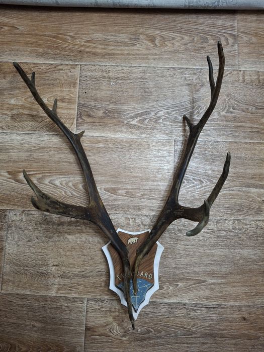 Продам красивые  р