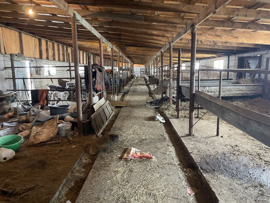 Фазенда, крестянское хозяйство.ТОРГ