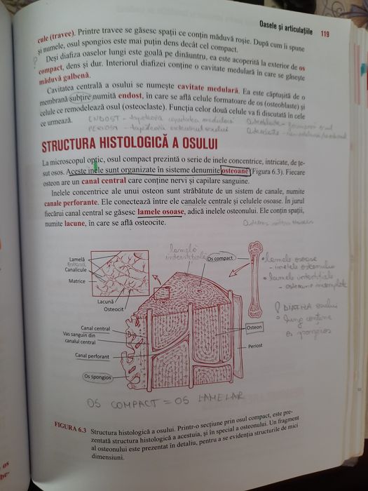 Barron's pentru admiterea la medicină
