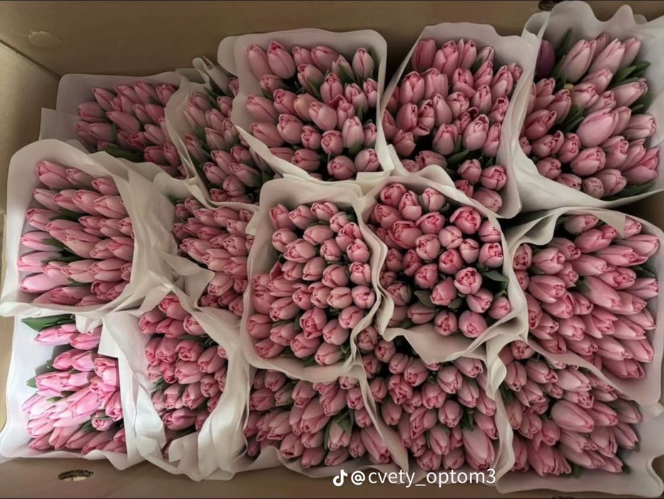 Принимаем заказы свежие тюльпаны