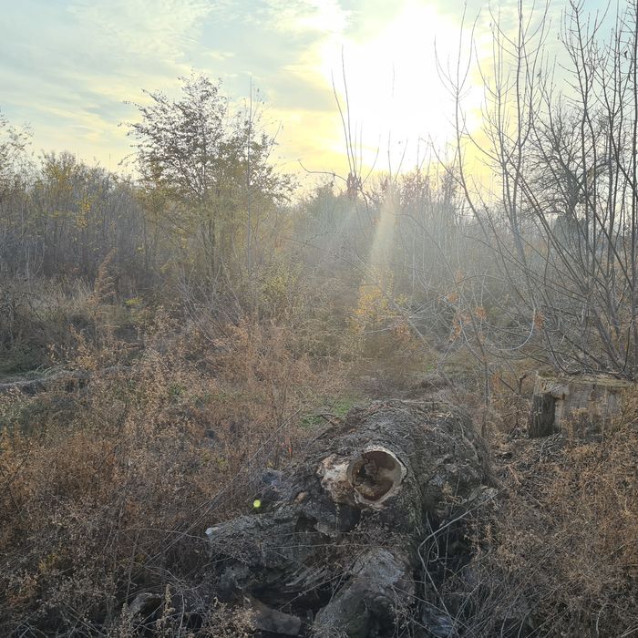 Продам участок 10сот.