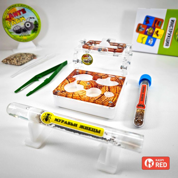 ГИПСОВЫЙ Формикарий "ELEMENT" ||| Муравьиная ферма - Муравьи жнецы