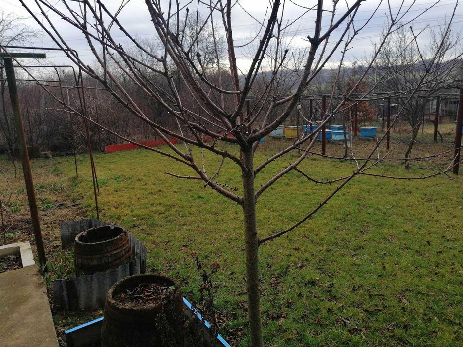 Продава се Къща в Търговище, Бряг - 40 кв.м за 447 €/кв.м - Снимка #4