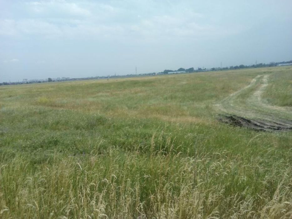 Продава се Парцел в с. Волуяк, Област София-град - 10000 кв.м за 75 €/кв.м - Снимка #1