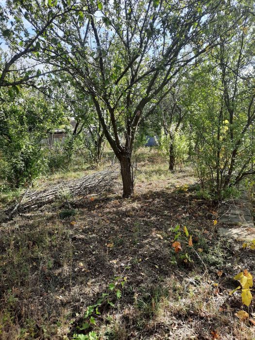 Teren de casa 610 MP