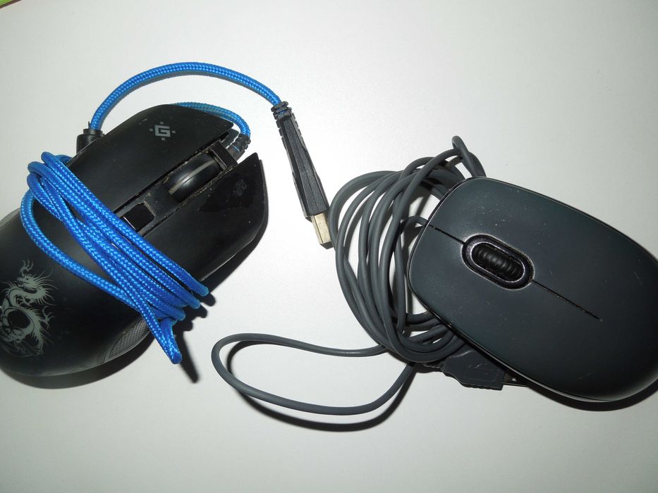 Мышь компьютерная