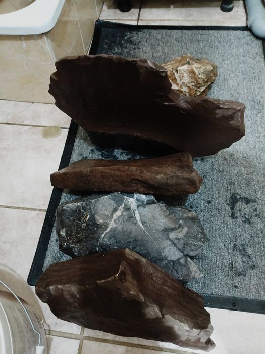 Аквариумные плитняки