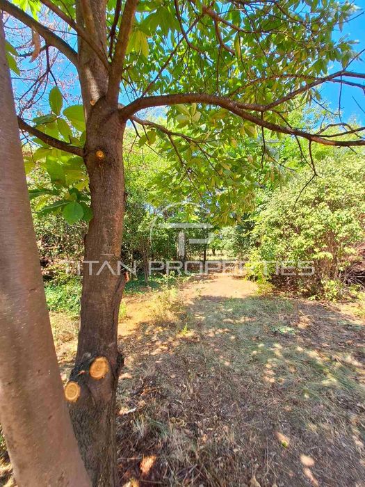 Атрактивна къща  в село Цалапица