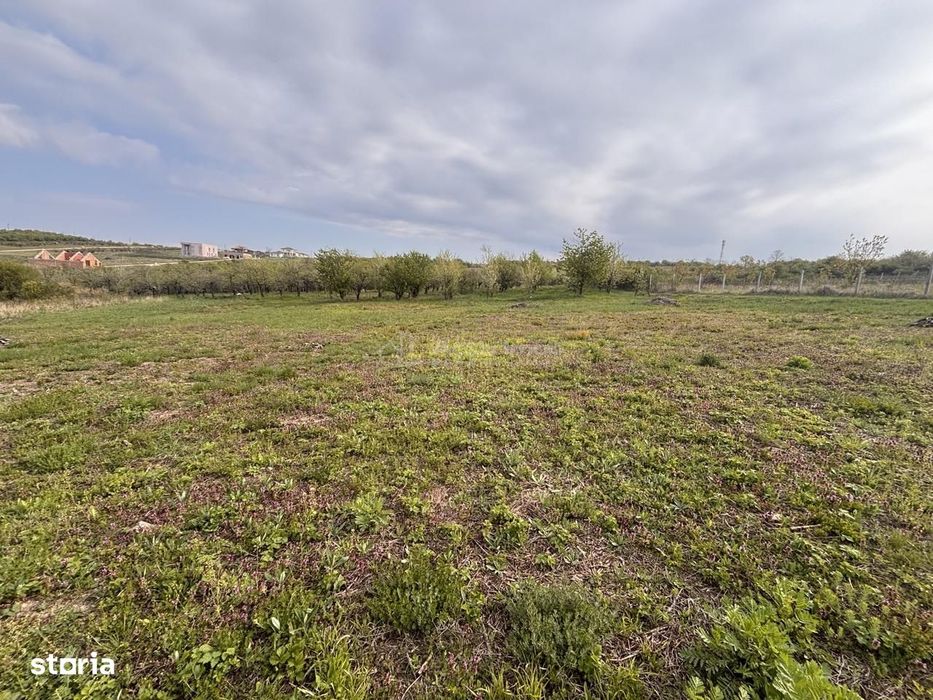 Teren pe colt Str Beldiceanu – 800 mp ideali pentru casa ta intr-o zon