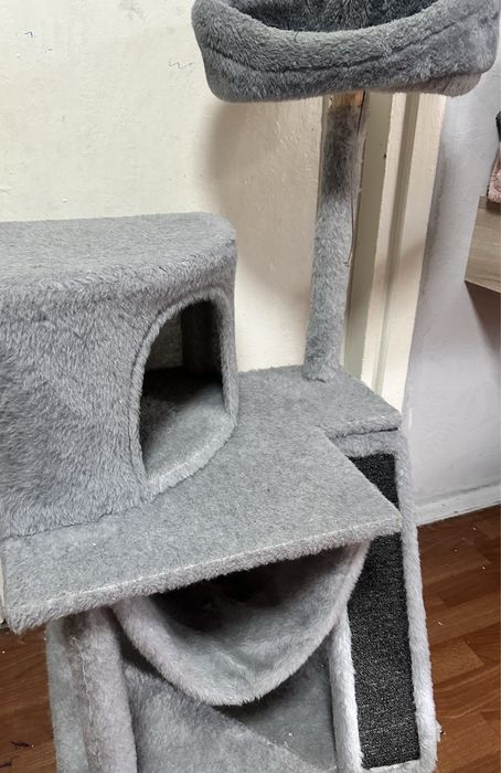 Дом кошачий)