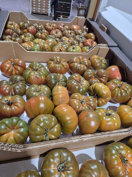 Дава се под наем Магазин в Варна, Погреби - 140 кв.м за 612.51 € - Снимка #9