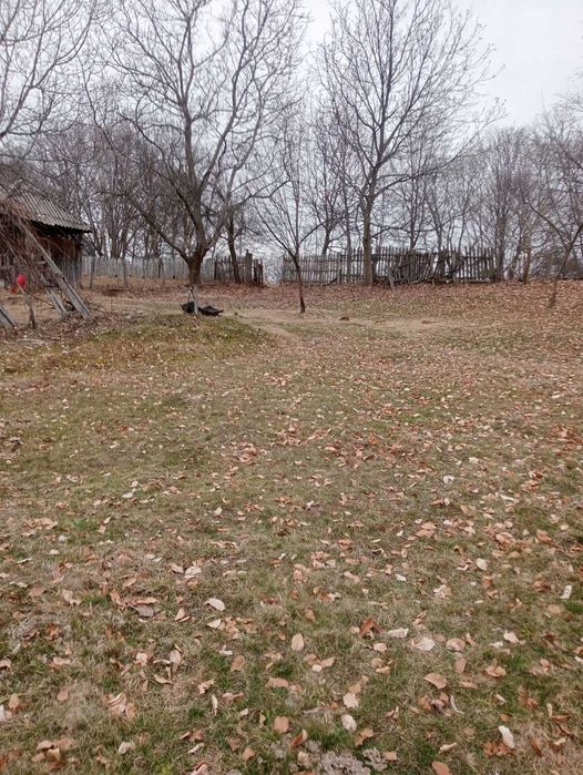 Vand Teren intravilan sat Tanasesti - Horezu (Valcea)