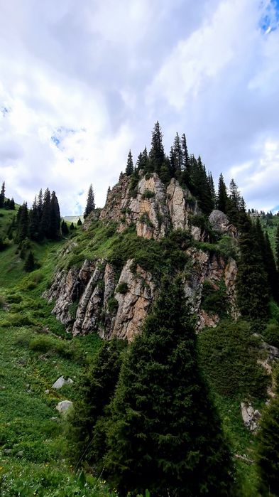 Реабилитация собак через ЛФК