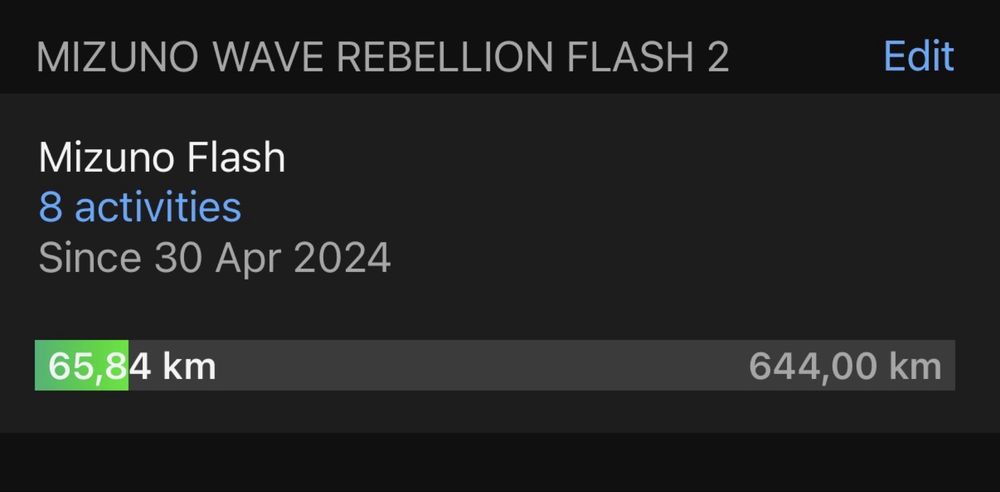 Mizuno Wave Rebellion FLASH 2