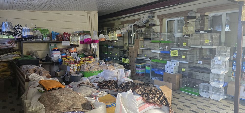 Попугай комбо комплект