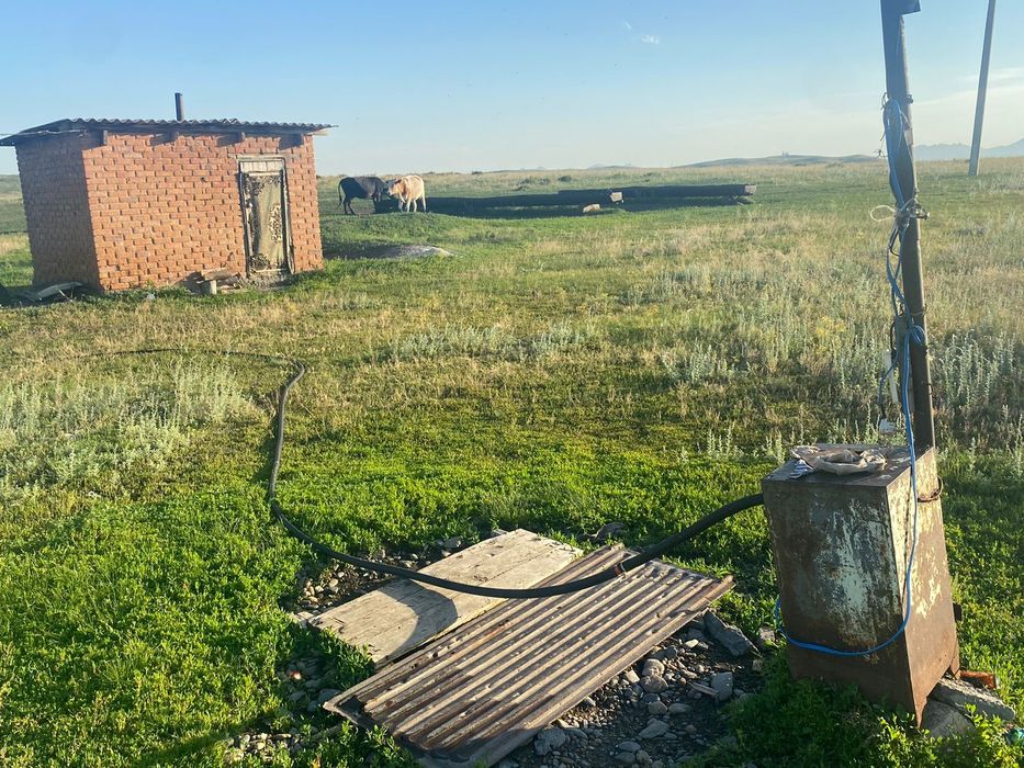 Продам крестьянское хозяйство