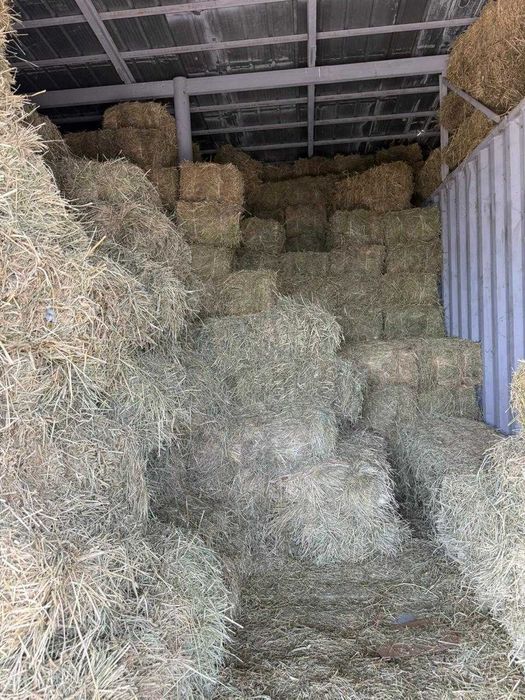 Продам сено в тюках