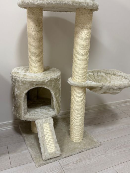 Котешка катерушка