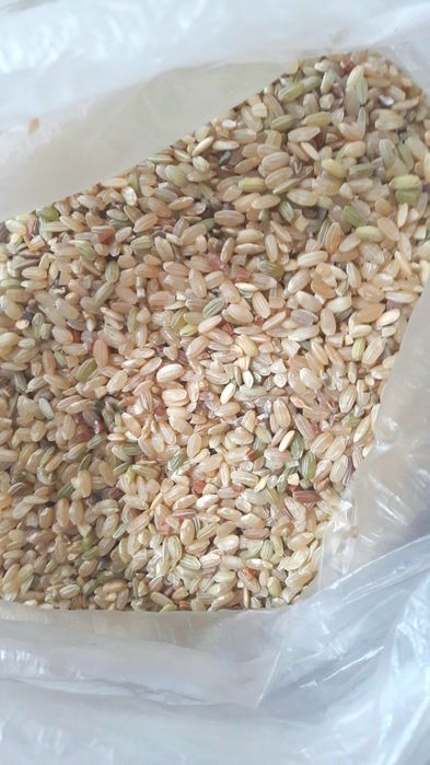 Буры рис,чёрный рис